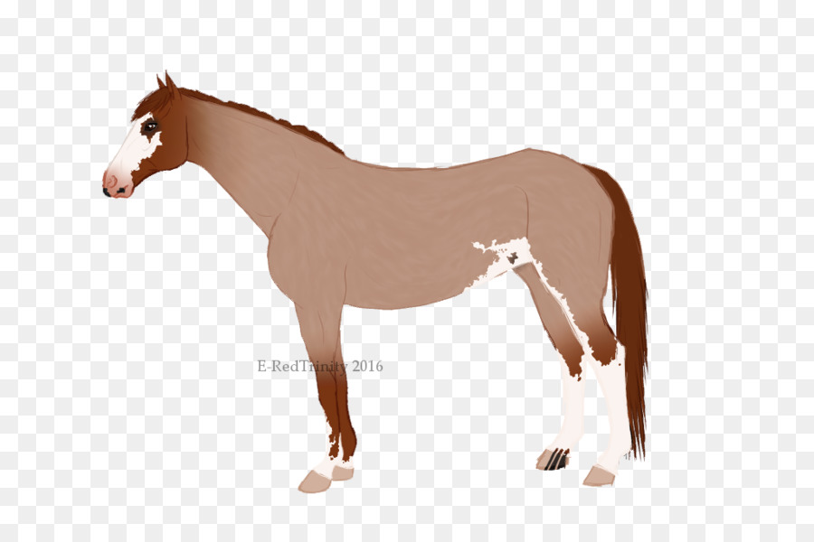 Mustang，Potro PNG