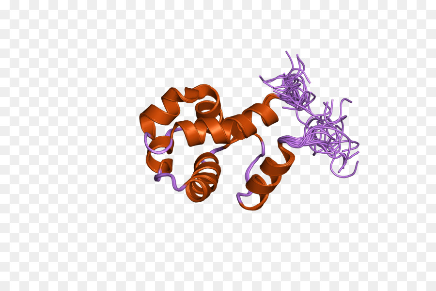 Estructura De La Proteína，Molécula PNG