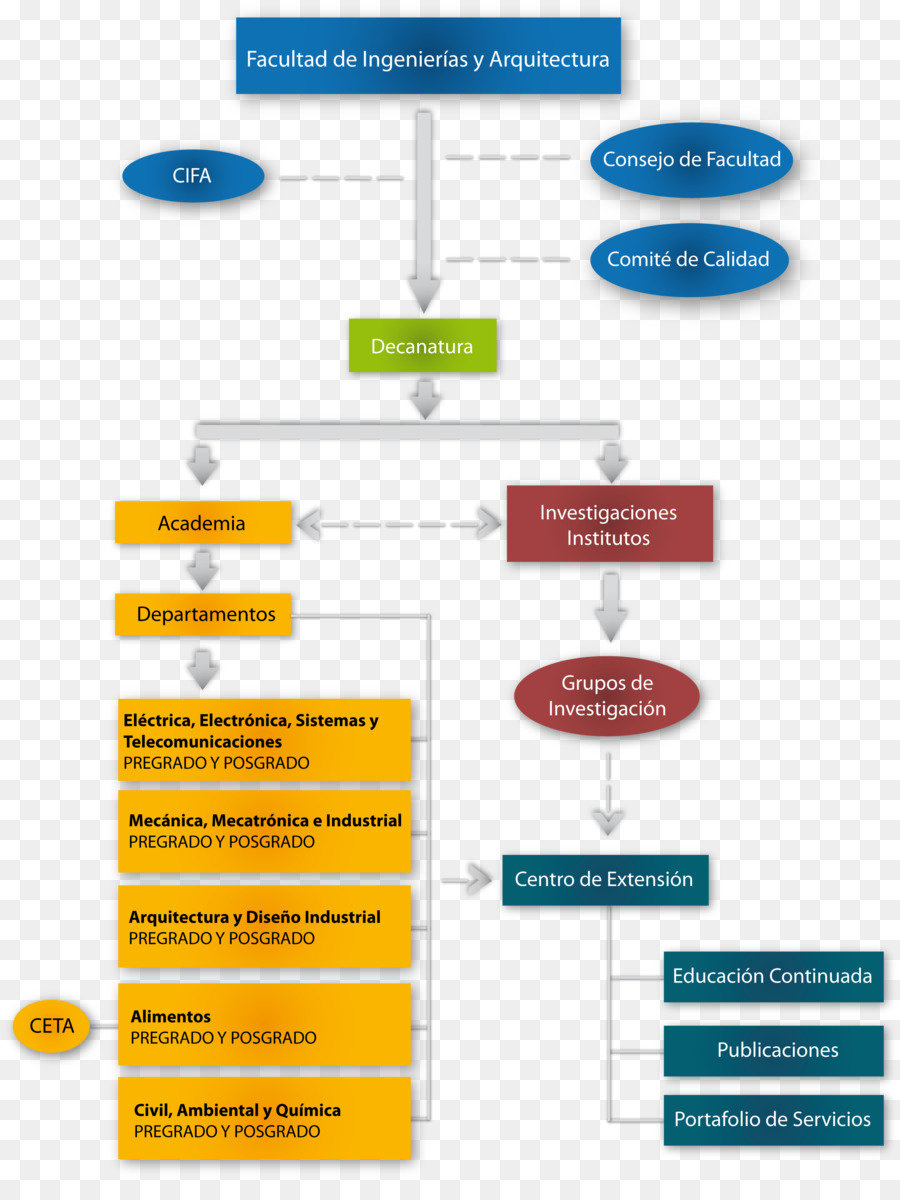 Organigrama，Organización PNG