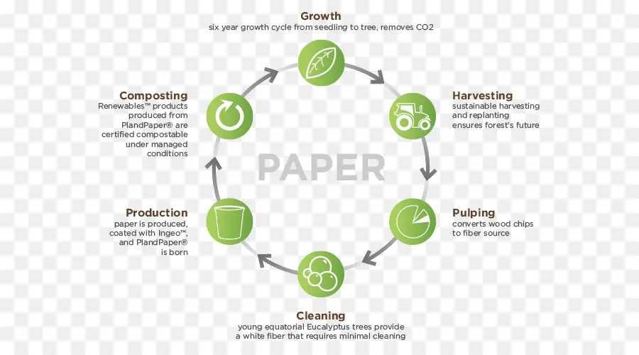 Papel，Evaluación Del Ciclo De Vida PNG