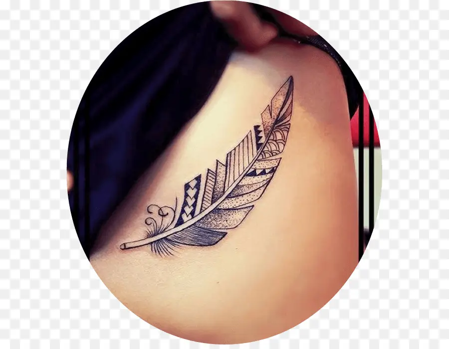 Tatuaje De Pluma，Pluma PNG