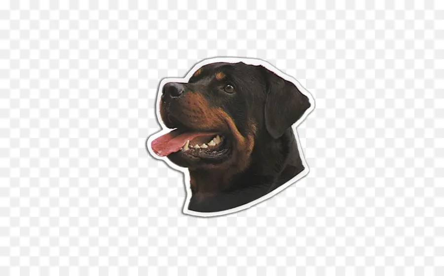 Negro Y Tan Coonhound，Rottweiler PNG