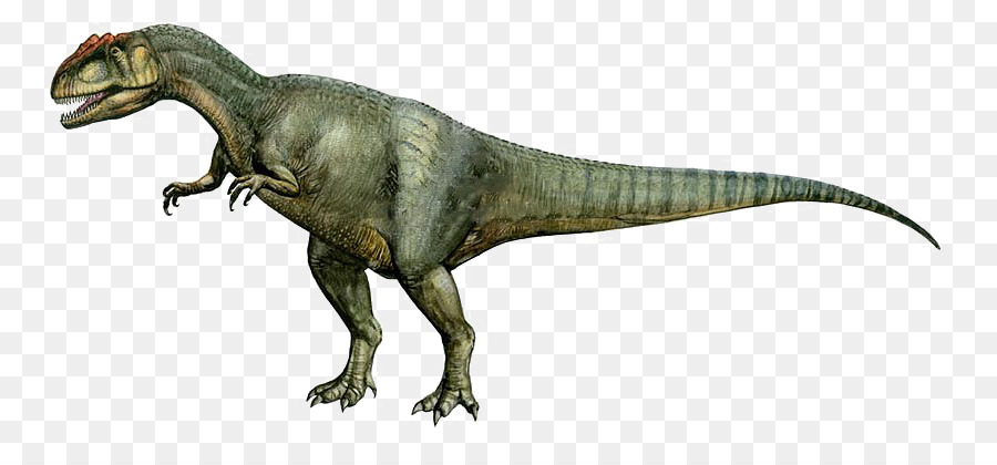 Daspletosaurio，Alosaurio PNG