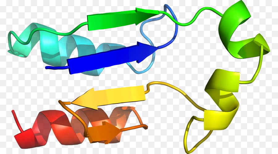 Hélice De Proteína，Molécula PNG