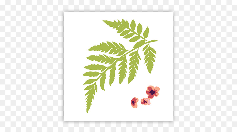 La Floración De La Planta，La Fruta PNG