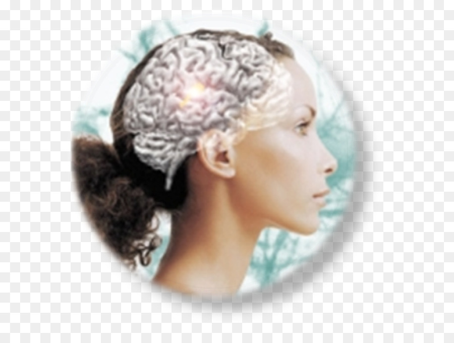 El Neuromarketing，La Neurociencia PNG