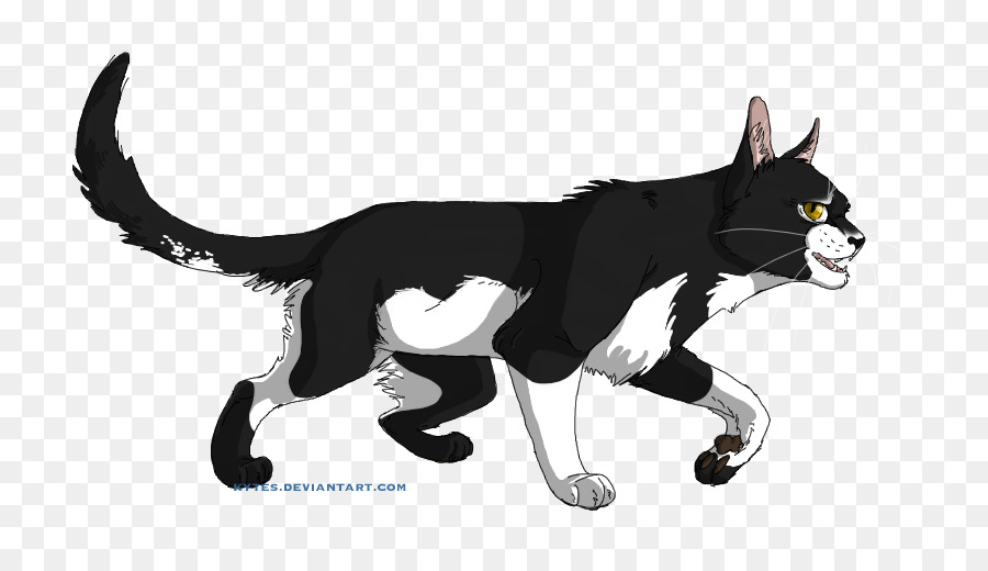 Perro Blanco Y Negro，Correr PNG