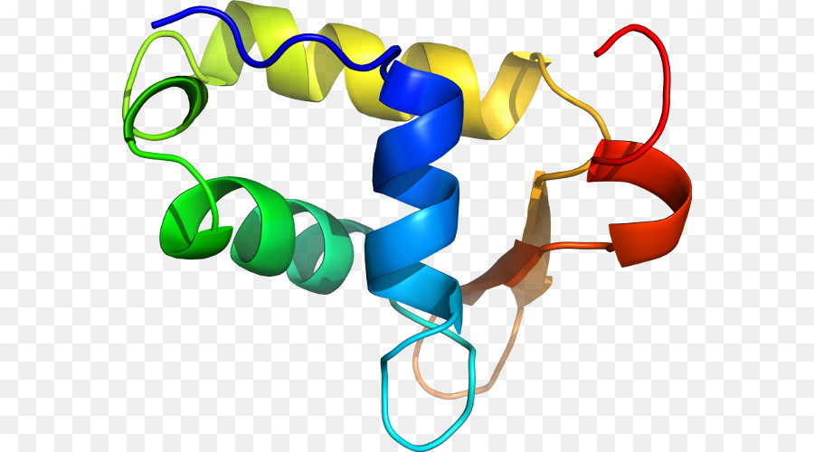 Hélice De Proteína，Molécula PNG