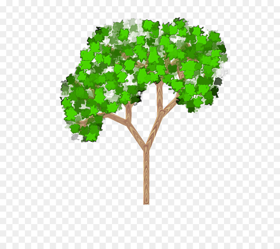 Árbol，Verde PNG