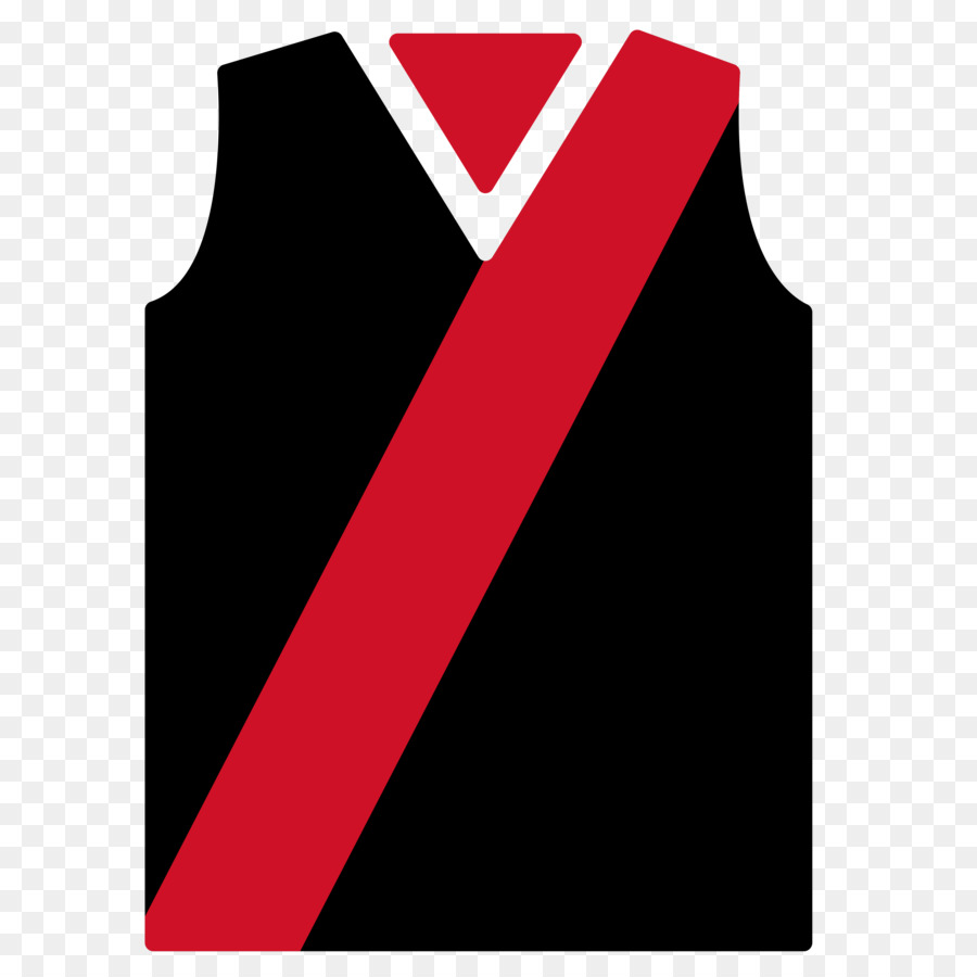 Diario De La Fantasía De Los Deportes，Essendon Club De Fútbol PNG