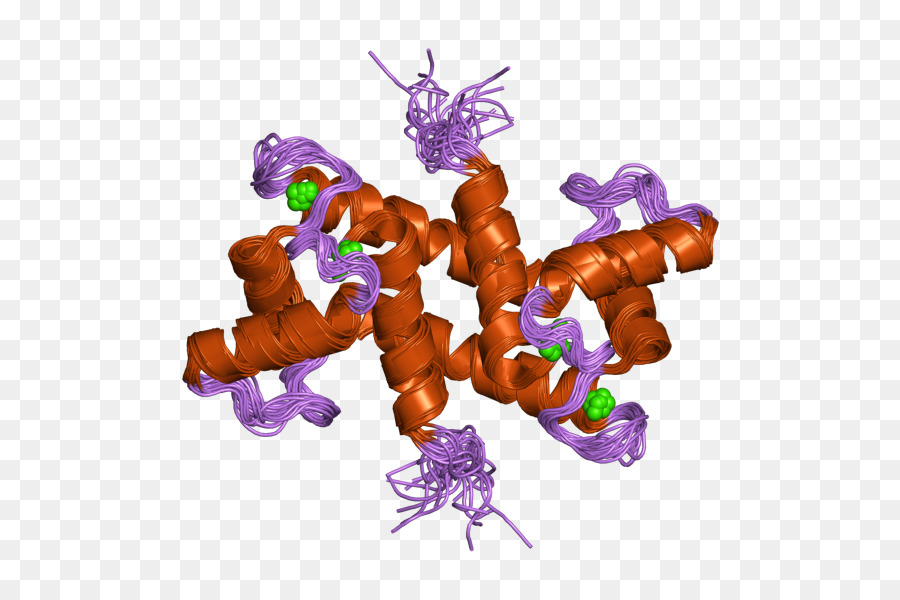 S100b，La Proteína S100 PNG