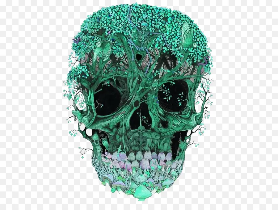 Bien，Calavera PNG