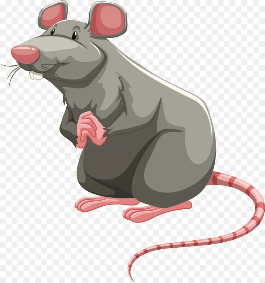 Ratón De Dibujos Animados，Animal PNG