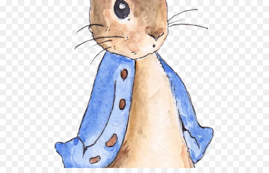 Cuento De Peter Rabbit，Peter Rabbit PNG