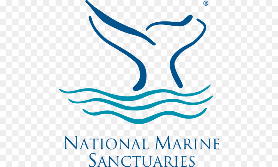 Monterey Bay National Marine Sanctuary，Stellwagen Bank Santuario Marino Nacional De La PNG