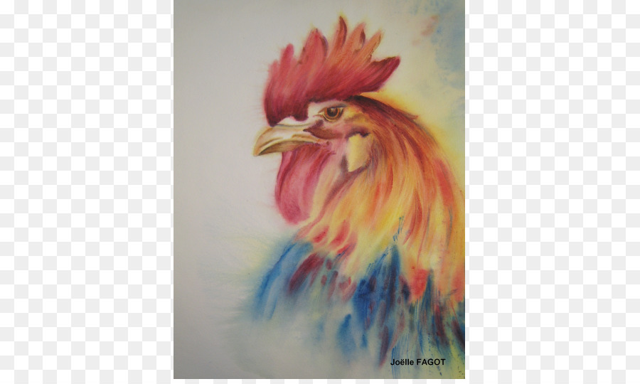 Gallo，Pintura A La Acuarela PNG