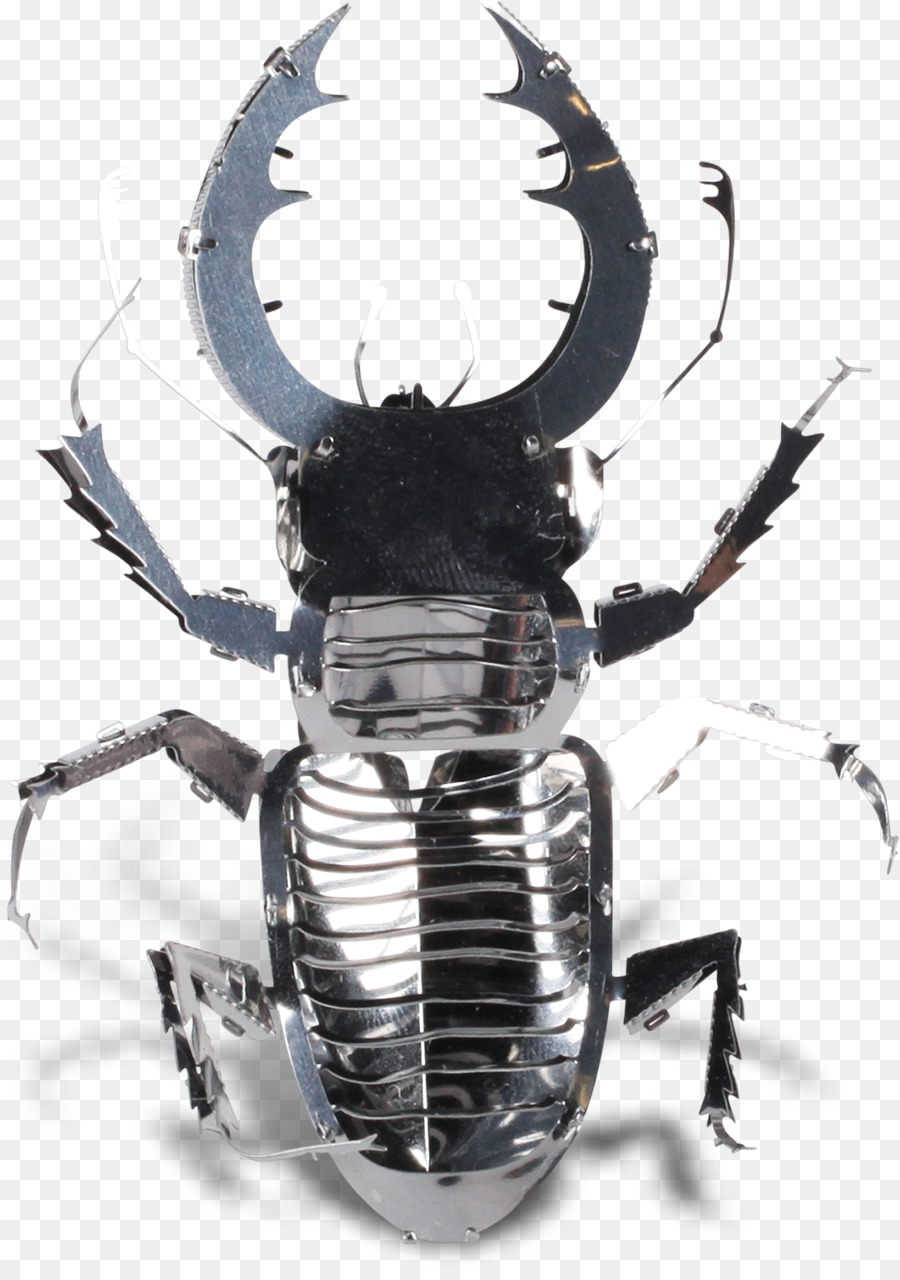 Escarabajo，Escarabajo Ciervo PNG