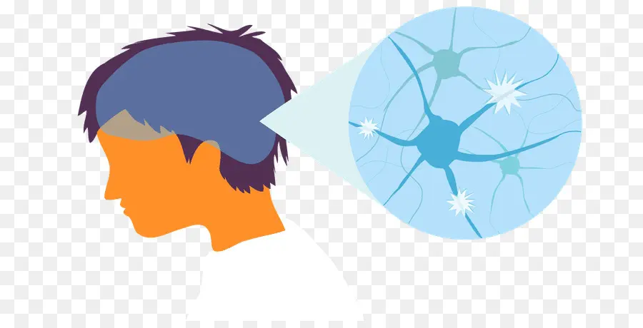 Ilustración Del Cerebro，Neuronas PNG