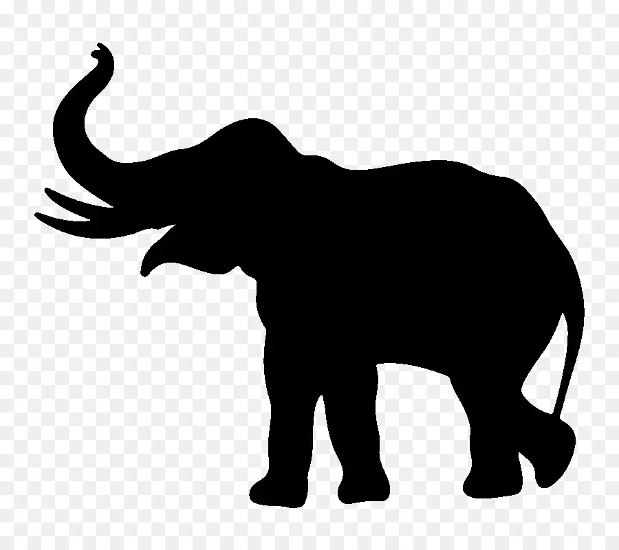 Elefante Dibujo，Elefante PNG