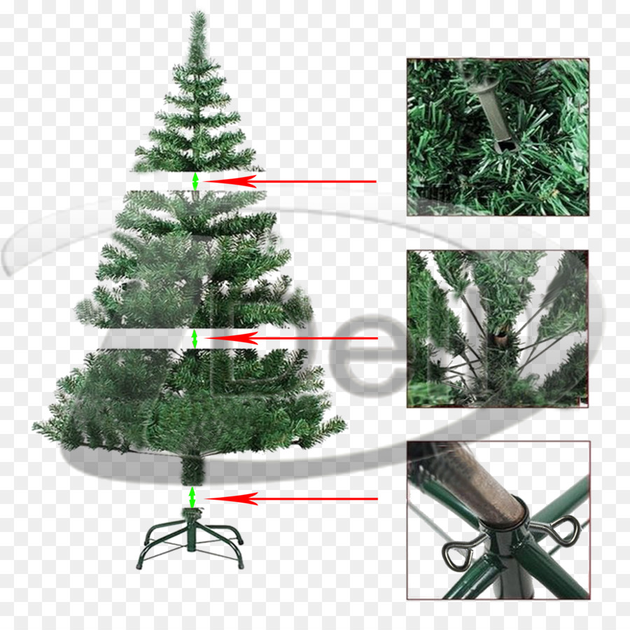 árbol De Navidad，Abeto PNG