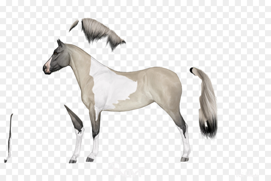 Caballo，Melena PNG