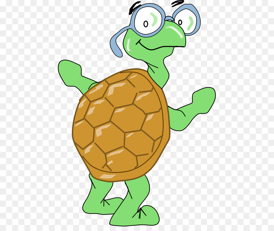 Tortuga，Anteojos PNG