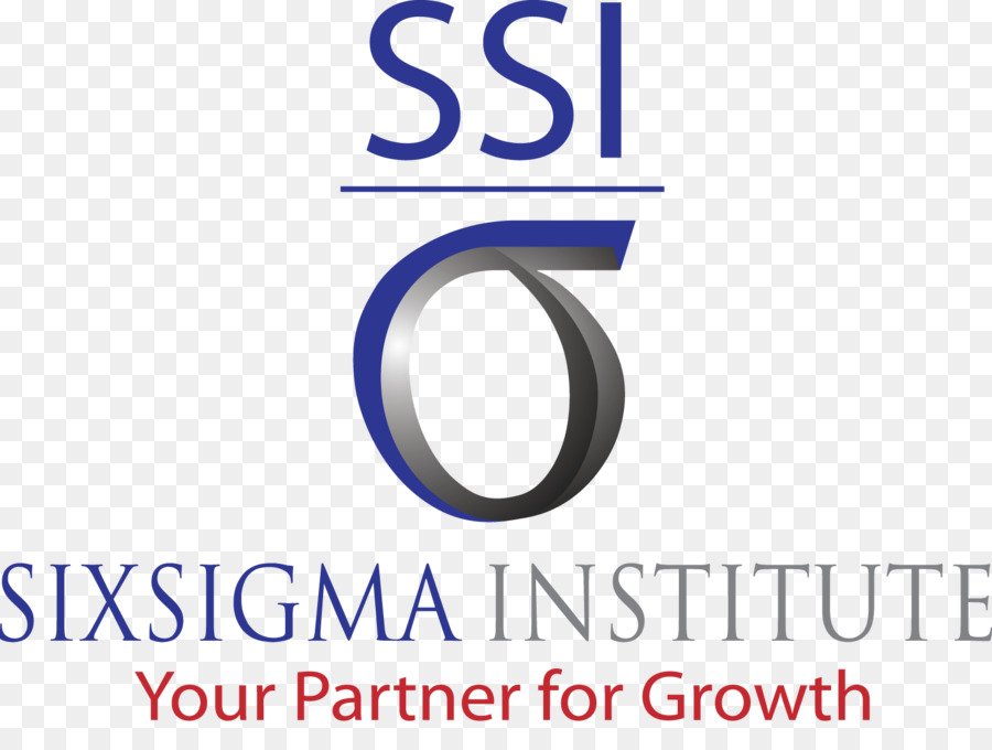 Six Sigma，Organización PNG