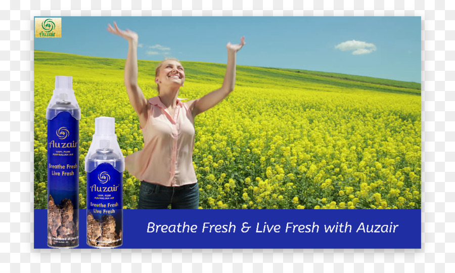 Canola，Publicidad PNG