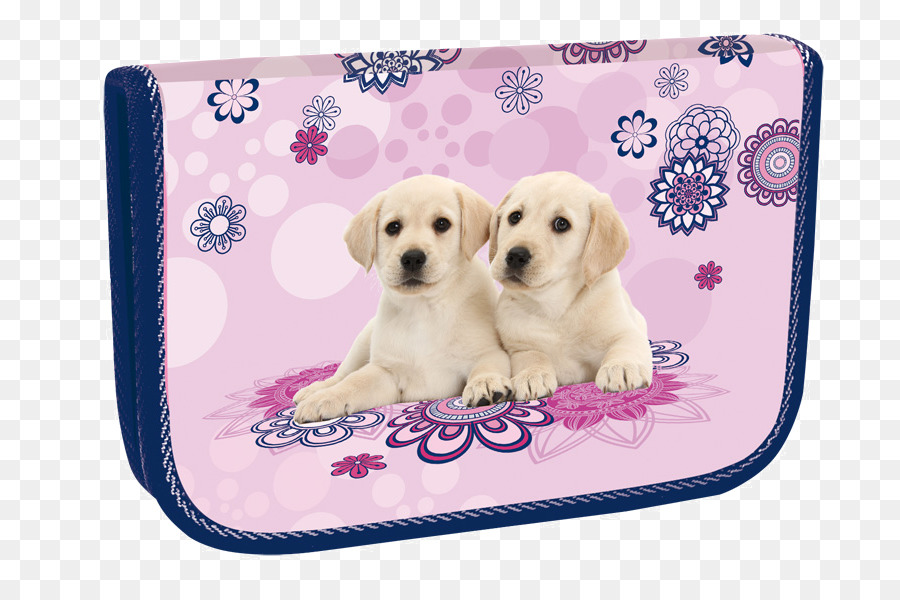 Cachorros，Lindo PNG