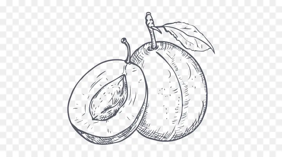 Ciruela，Dibujo PNG