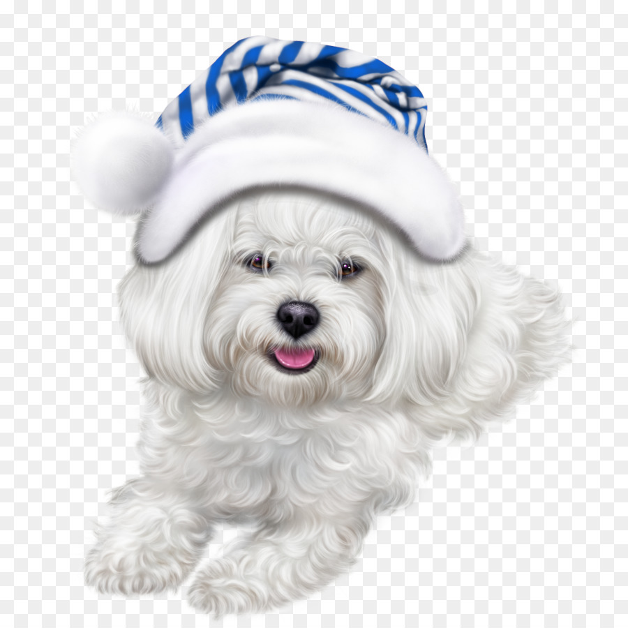 El Lhasa Apso，Símbolo PNG