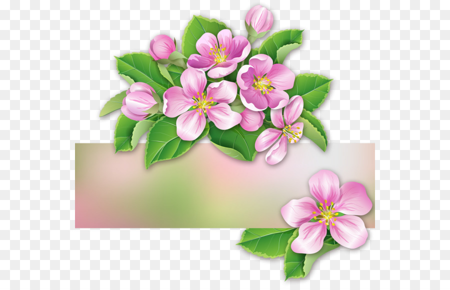 Extracto De Flores De Ciruelo，Blog PNG