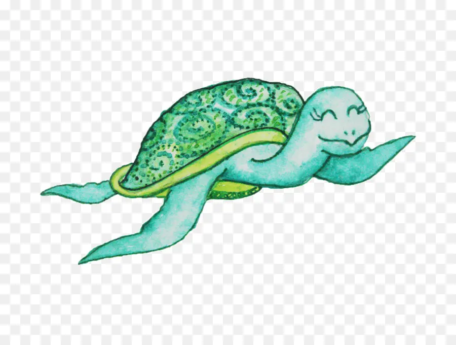 Tortuga De Dibujos Animados，Tortuga PNG