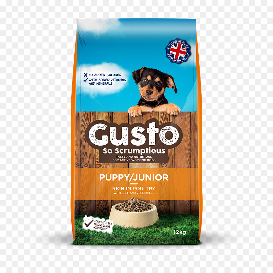 Comida De Perro，Perro PNG