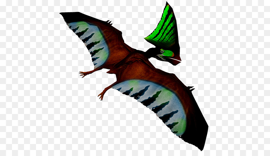 Pterodáctilo，Vuelo PNG