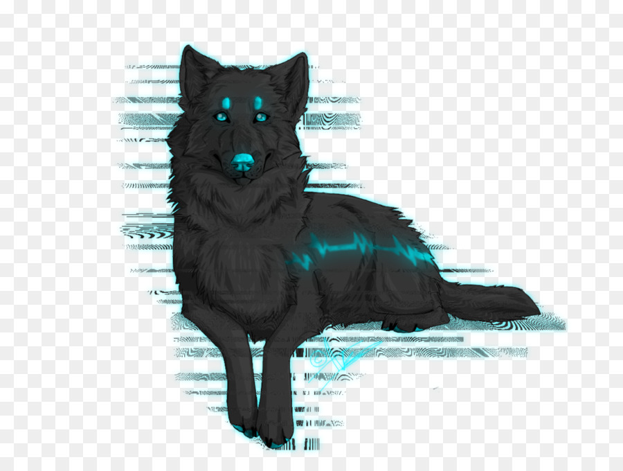 Raza De Perro，Schipperke PNG