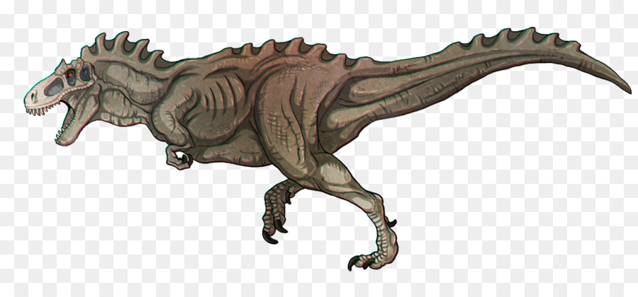 Tyrannosaurus，Albertosaurus PNG