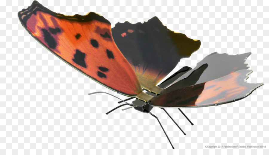 Mariposa，Oriental Coma PNG