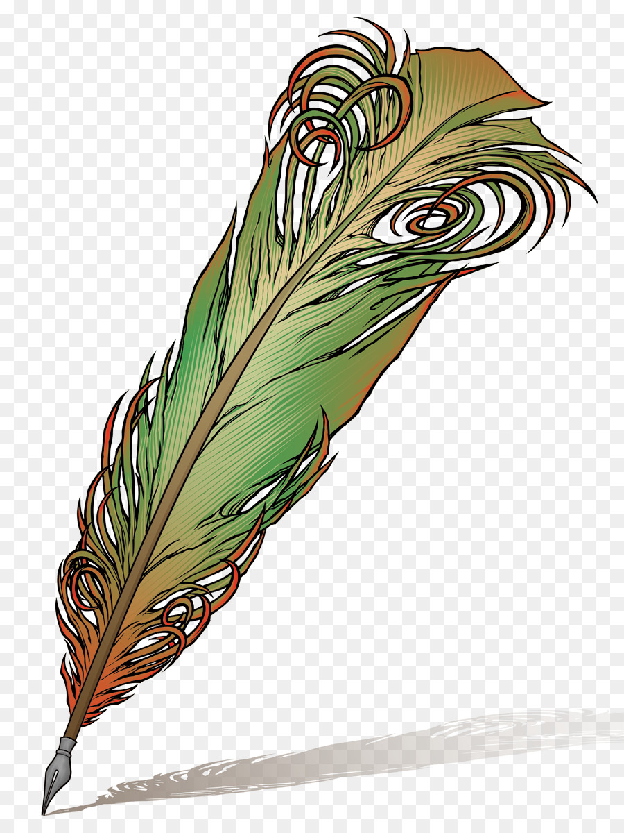 Pluma De Pavo Real，Vistoso PNG