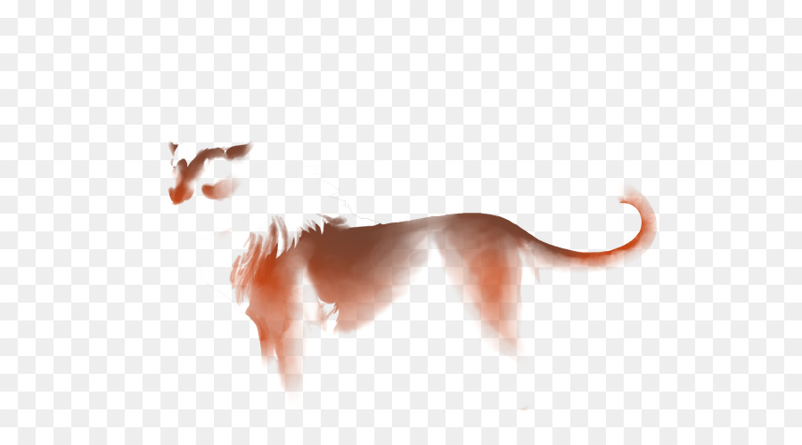 Gato，Lobo Gris PNG