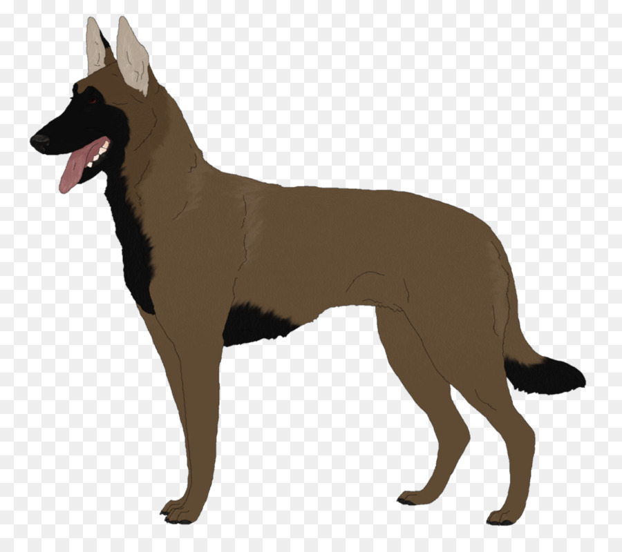 Raza De Perro，Tervuren PNG