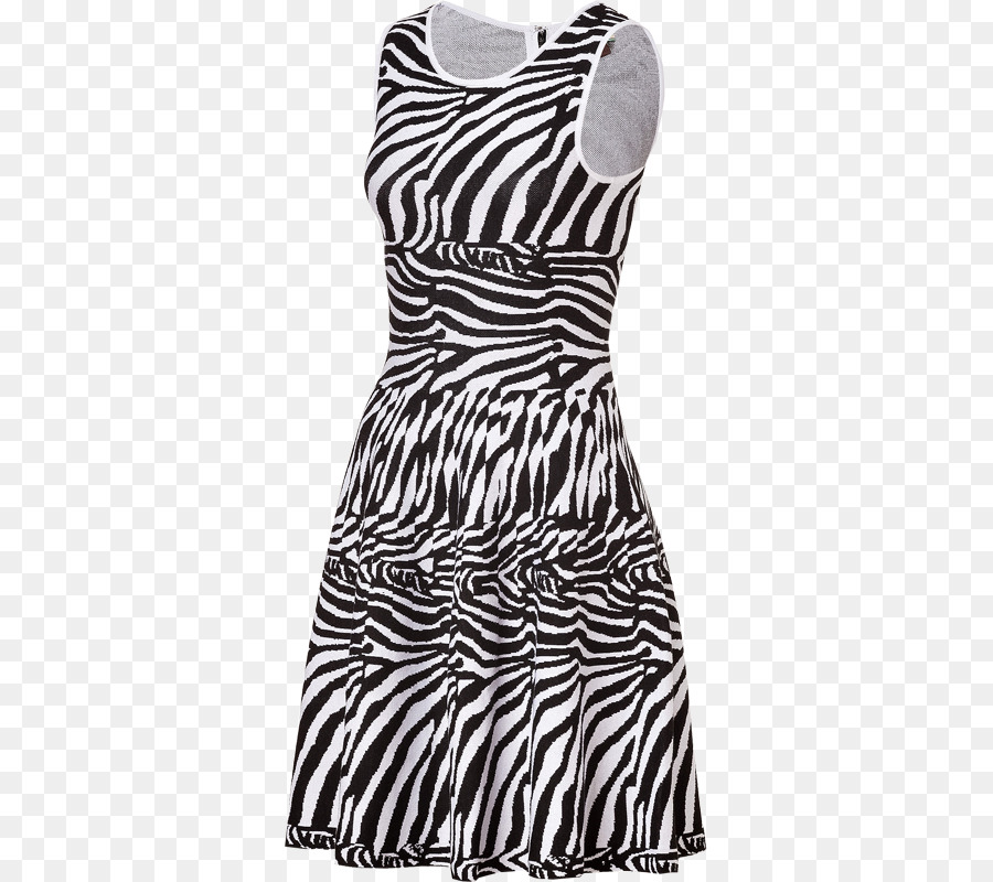 Vestido Cebra，En Blanco Y Negro PNG