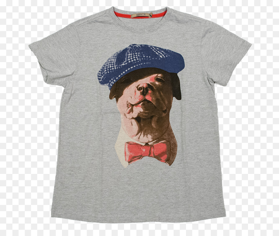 Camiseta，Pit Bull PNG