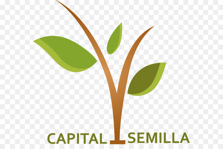 Capital Semilla，Capital PNG