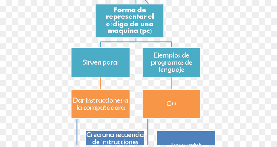 Mapa Conceptual，Organización PNG