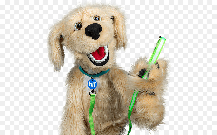 Golden Retriever，Cachorro PNG