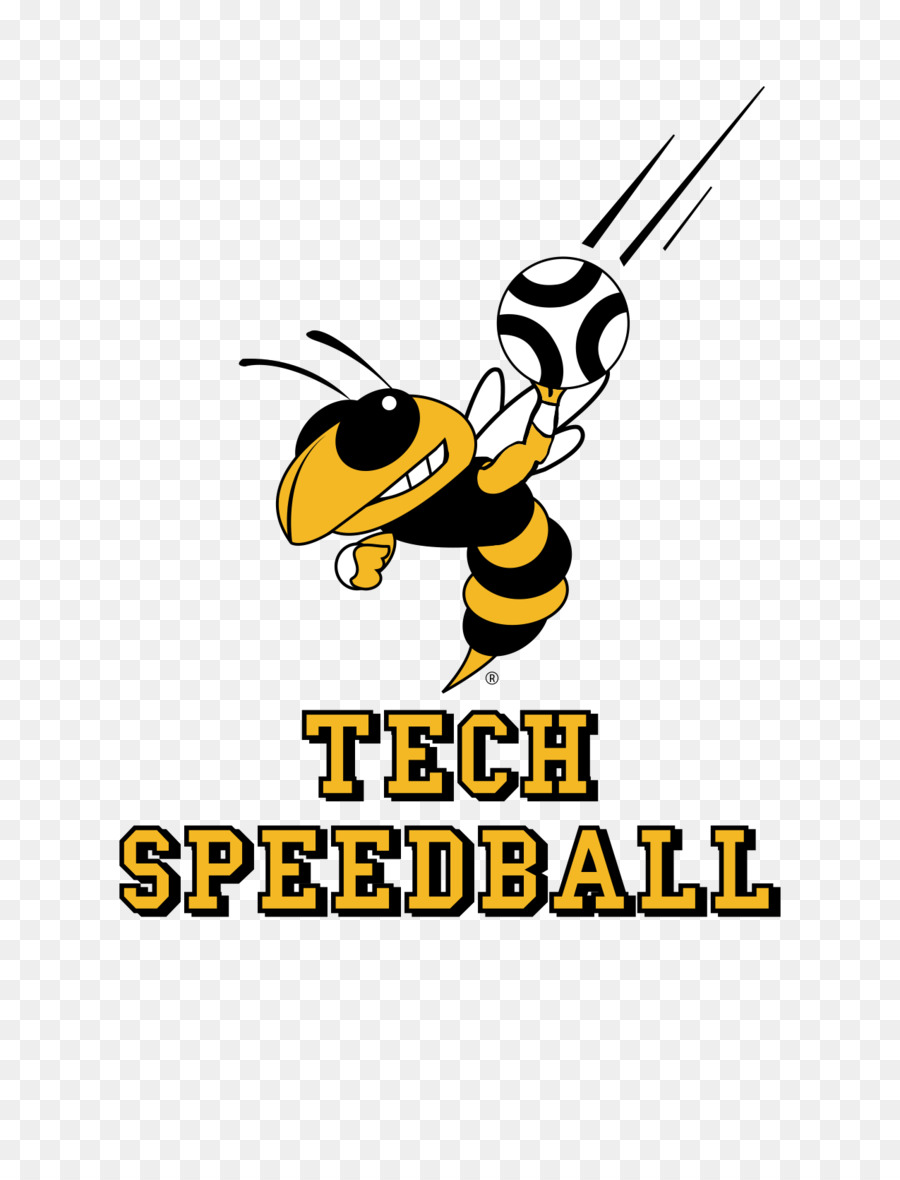 Abeja De Miel，Georgia Tech Yellow Jackets Fútbol PNG