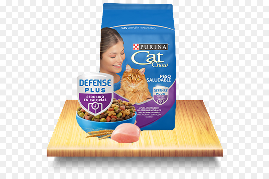 Gato，La Comida Para Gatos PNG