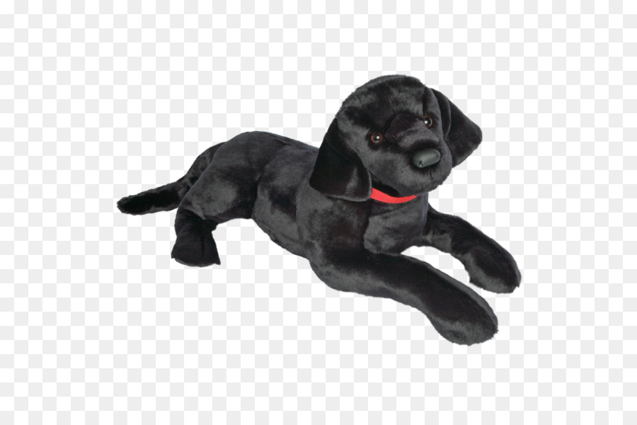 Labrador Retriever，Cachorro PNG