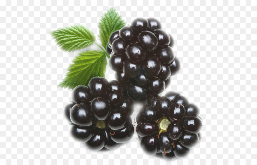 Blackberry，Alimentos Orgánicos PNG